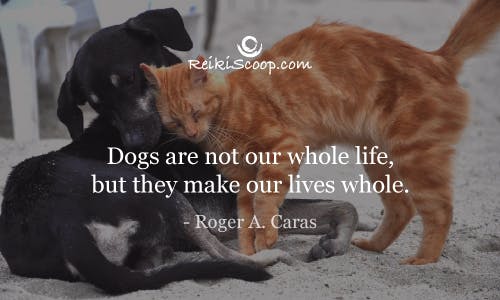 Dogs are not our whole life, but they make our lives whole - Roger A. Caras