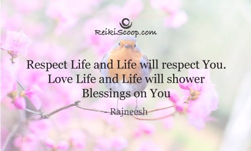 Respect life and life will respect you. Love life an life will shower blessings on you. - Rajneesh