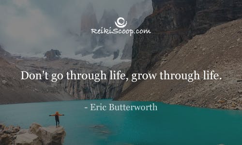 Don't go through life, grow through life. - Eric Butterworth