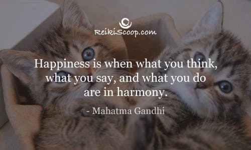 Happiness is when what you do, what you say, and what you do are in harmony. - Mahatma Gandhi