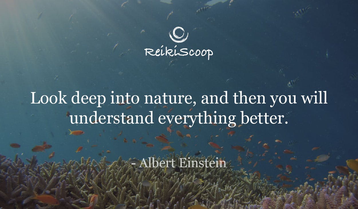 Look deep into nature, and then you will understand everything better. - Albert Einstein