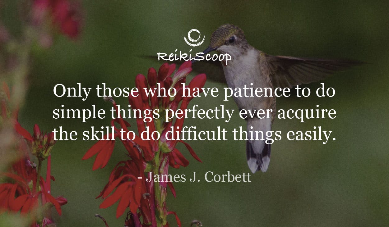 Only those who have patience to do simple things perfectly ever acquire the skill to do difficult things easily. - James J. Corbett