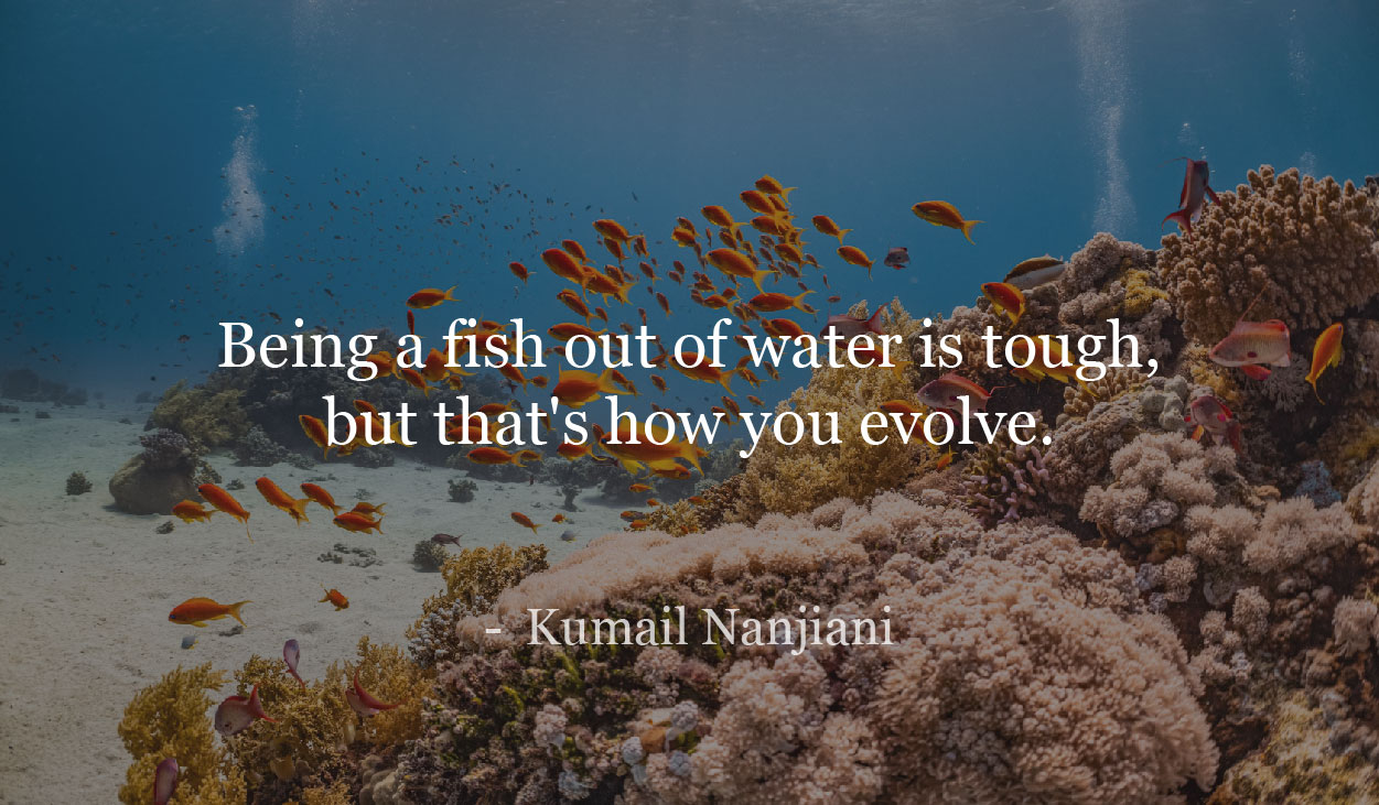 Being a fish out of water is tough, but that's how you evolve. - Kumail Nanjiani