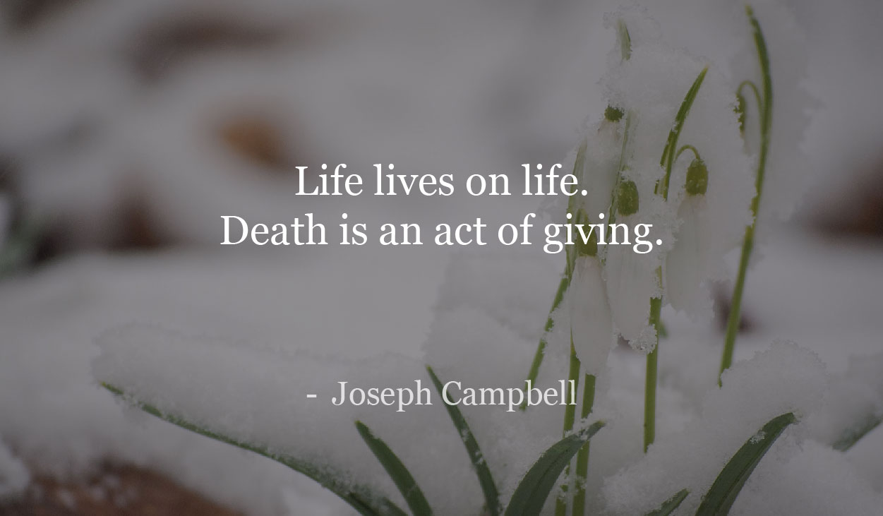 Life lives on life. Death is an act of giving. - Joseph Campbell.