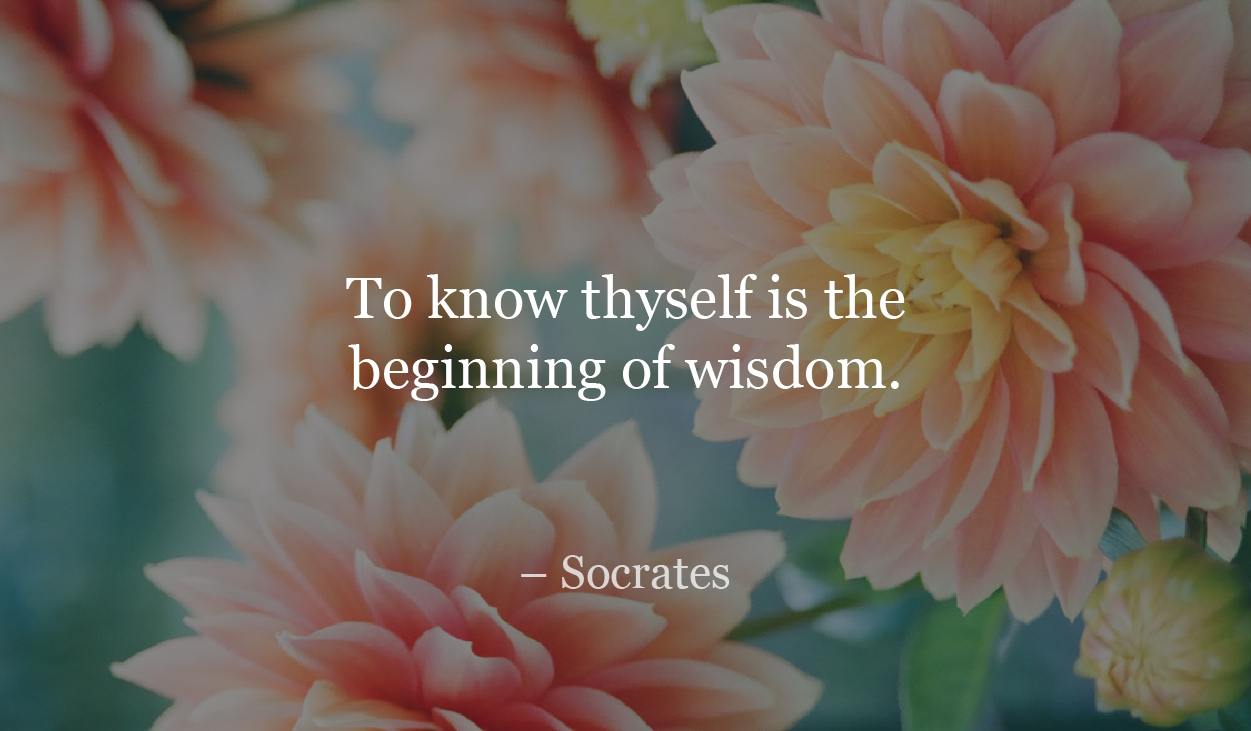 To know thyself is the beginning of wisdom. - Socrates