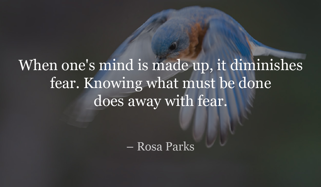 When one's mind is made up, it diminishes fear. Knowing what must be done does away with fear. - Rosa Parks