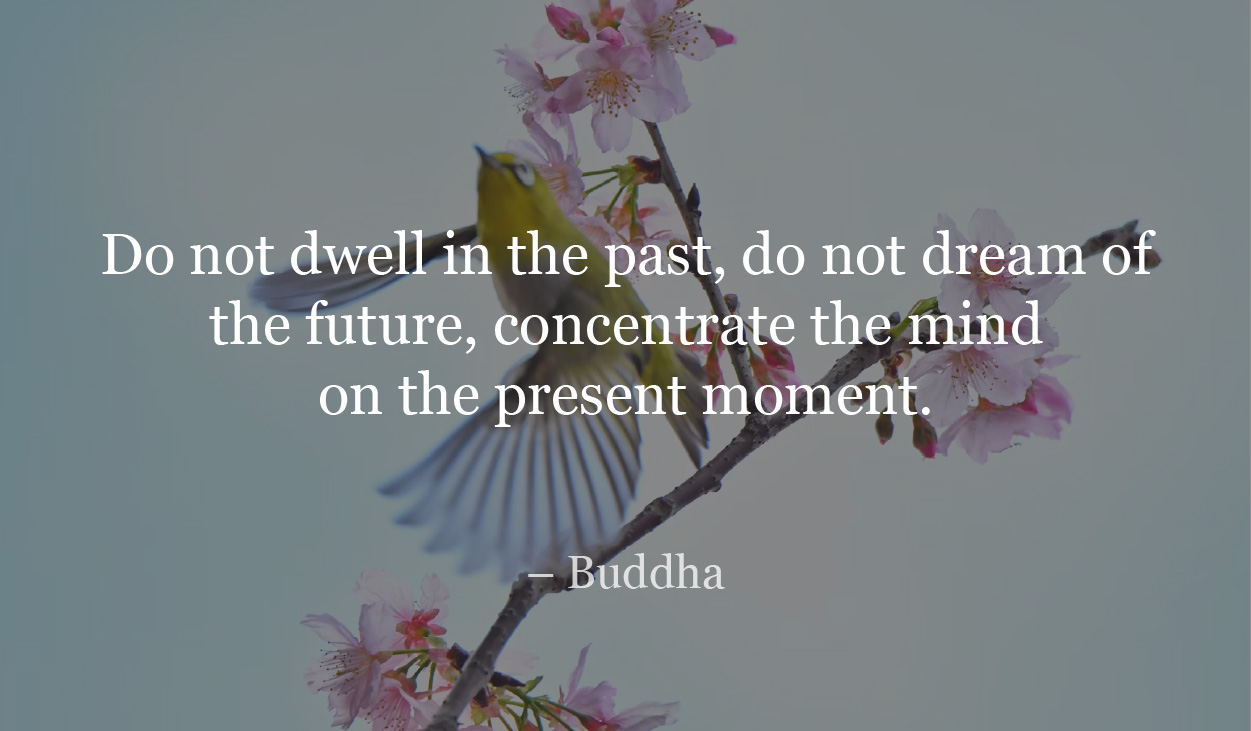 Do not dwell in the past, do not dream of the future, concentrate the mind on the present moment.