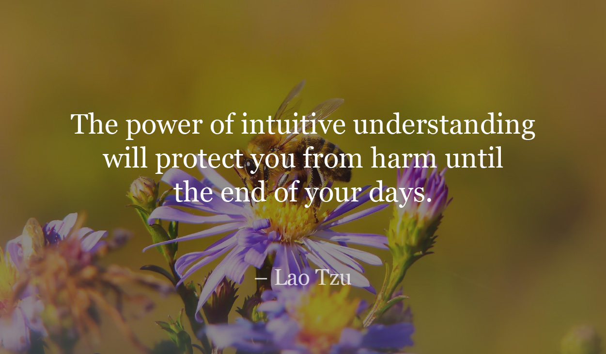 The power of intuitive understanding will protect you from harm until the end of your days. - Lao Tzu