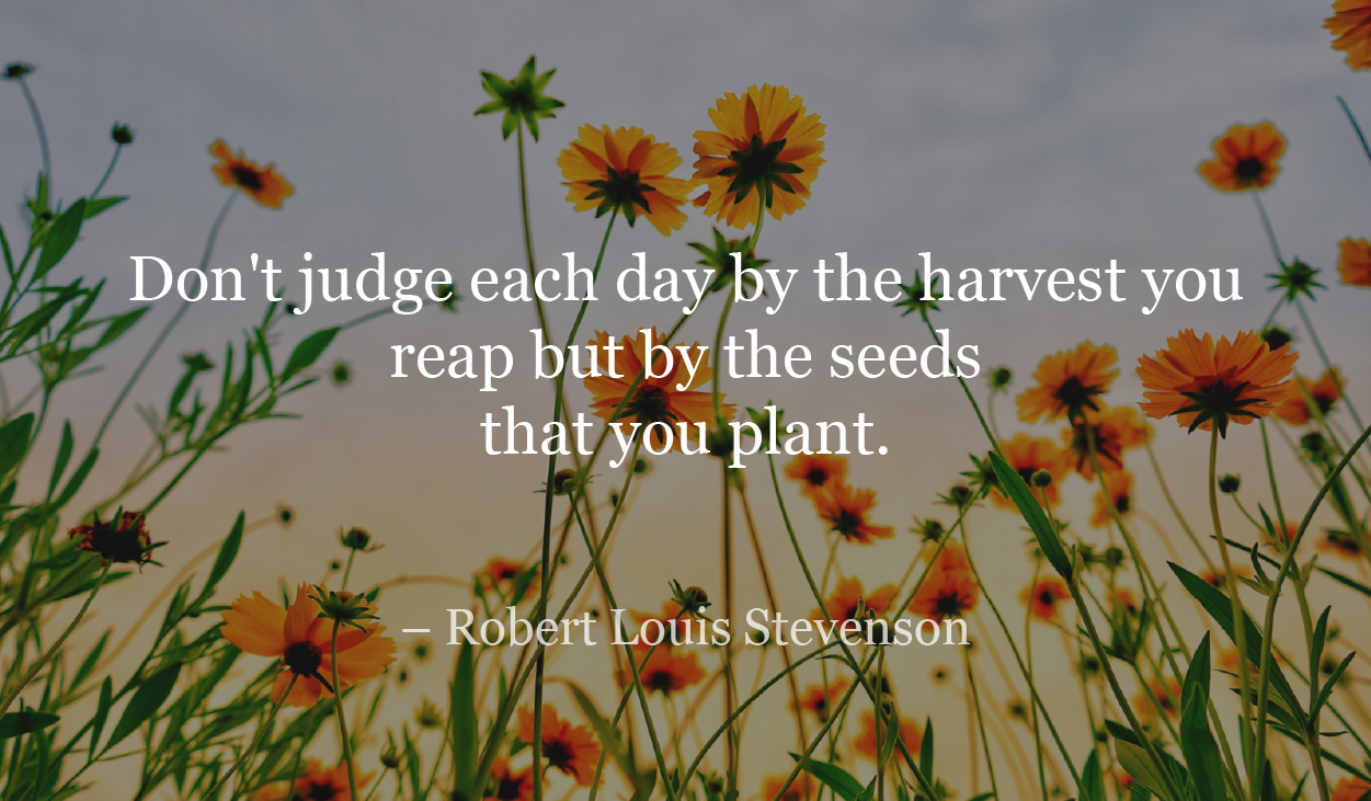 Seed you plant - reikiscoop